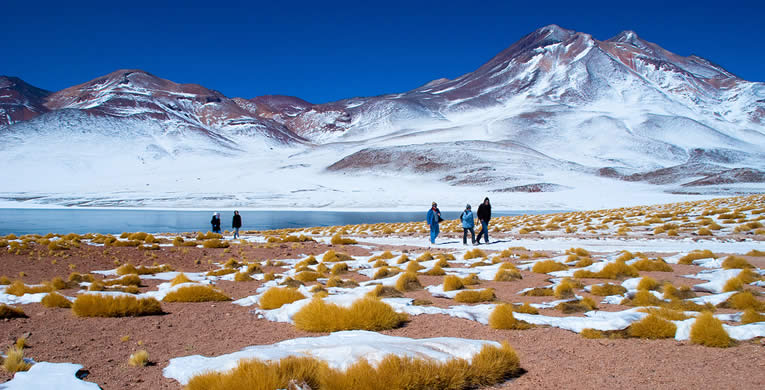Altiplano chileno