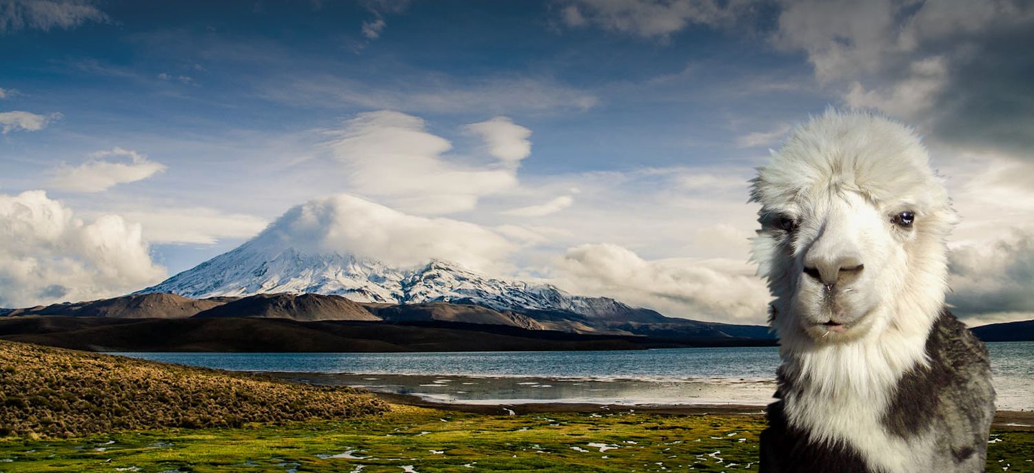 Paisaje andino