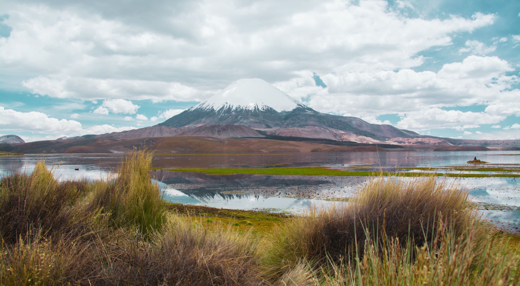 Lauca National Park