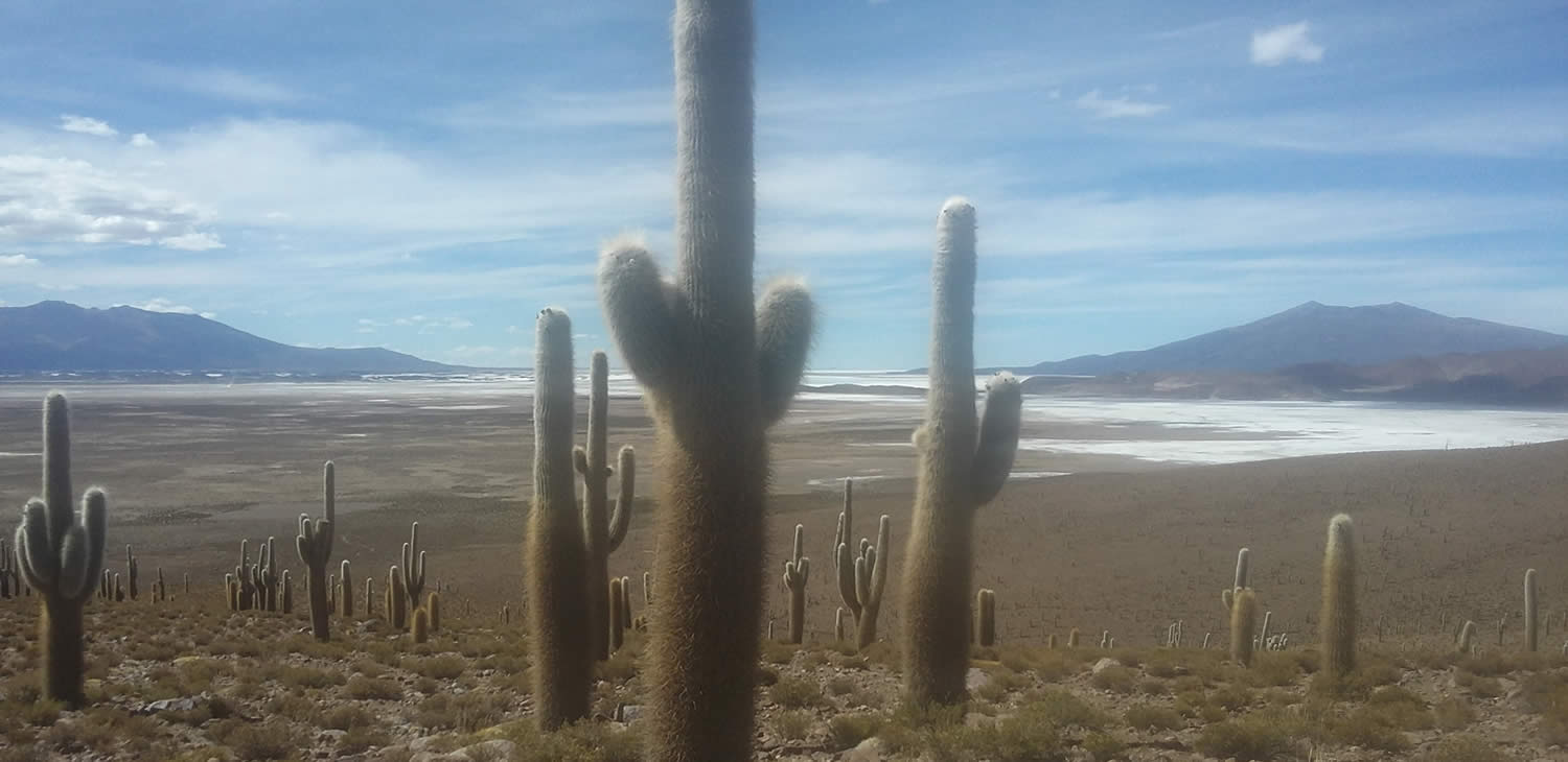 Aus dem Herzen von Putre - Chile