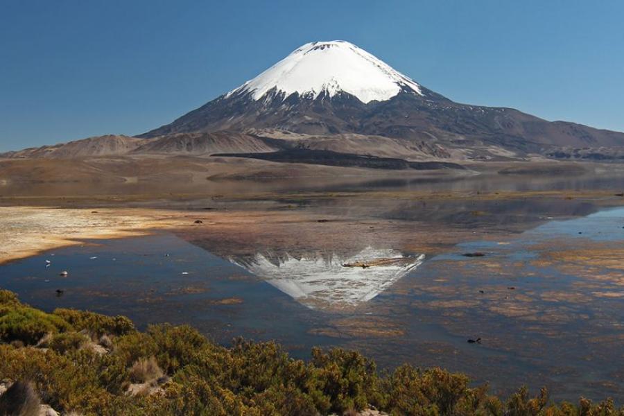 Excursión Parque Nacional Lauca